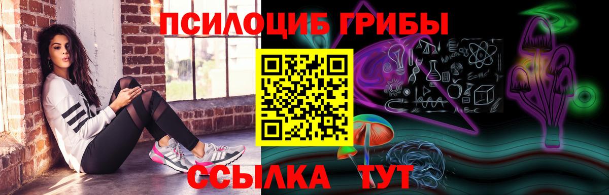 Муром  Галлюциногенные грибы GOLDEN TEACHER  Галлюциногенные грибы мицелий  Вход с VPN 