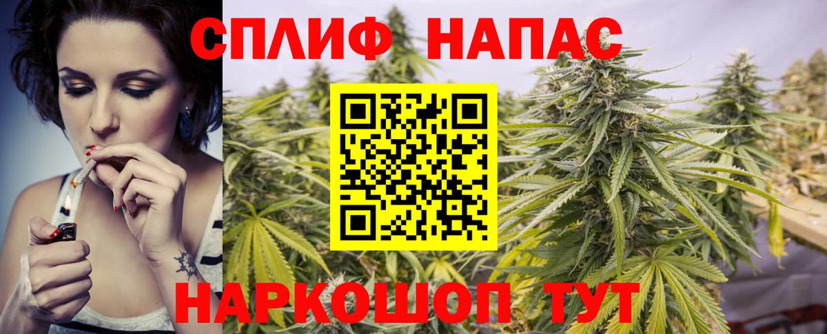 Бошки марихуана марихуана  Канабис гибрид  Вход с VPN  Бошки марихуана план  Муром  Шишки марихуана тримм 